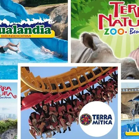 Imperial Park Pool Paradise 1 Bedroom 09 Apartment