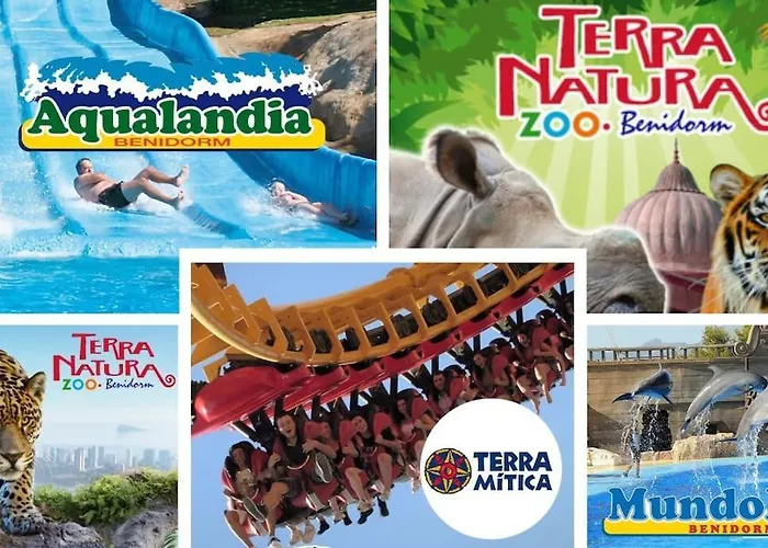 Imperial Park Pool Paradise 1 Bedroom 09 Apartment